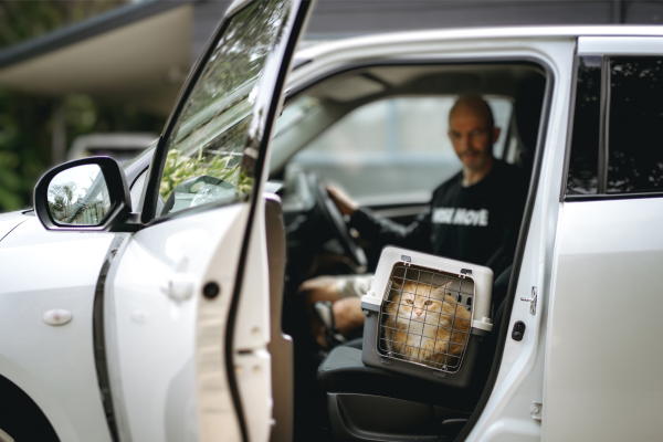 Pet Transport in Singapore