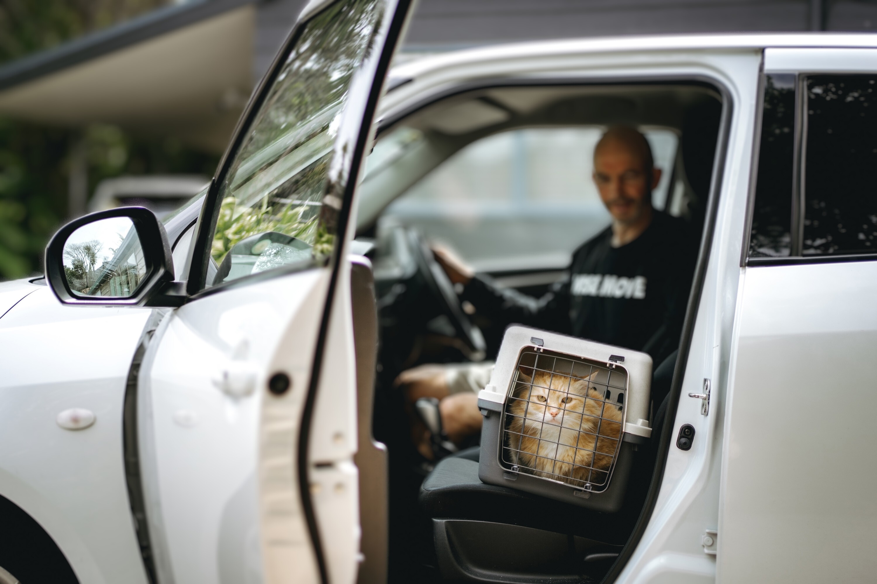 Pet Transport in Singapore