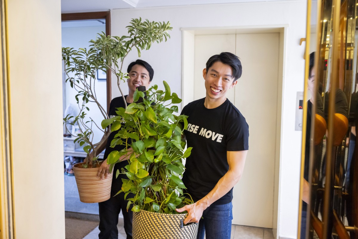 Beginner’s Guide to Keeping Healthy Houseplants in Singapore