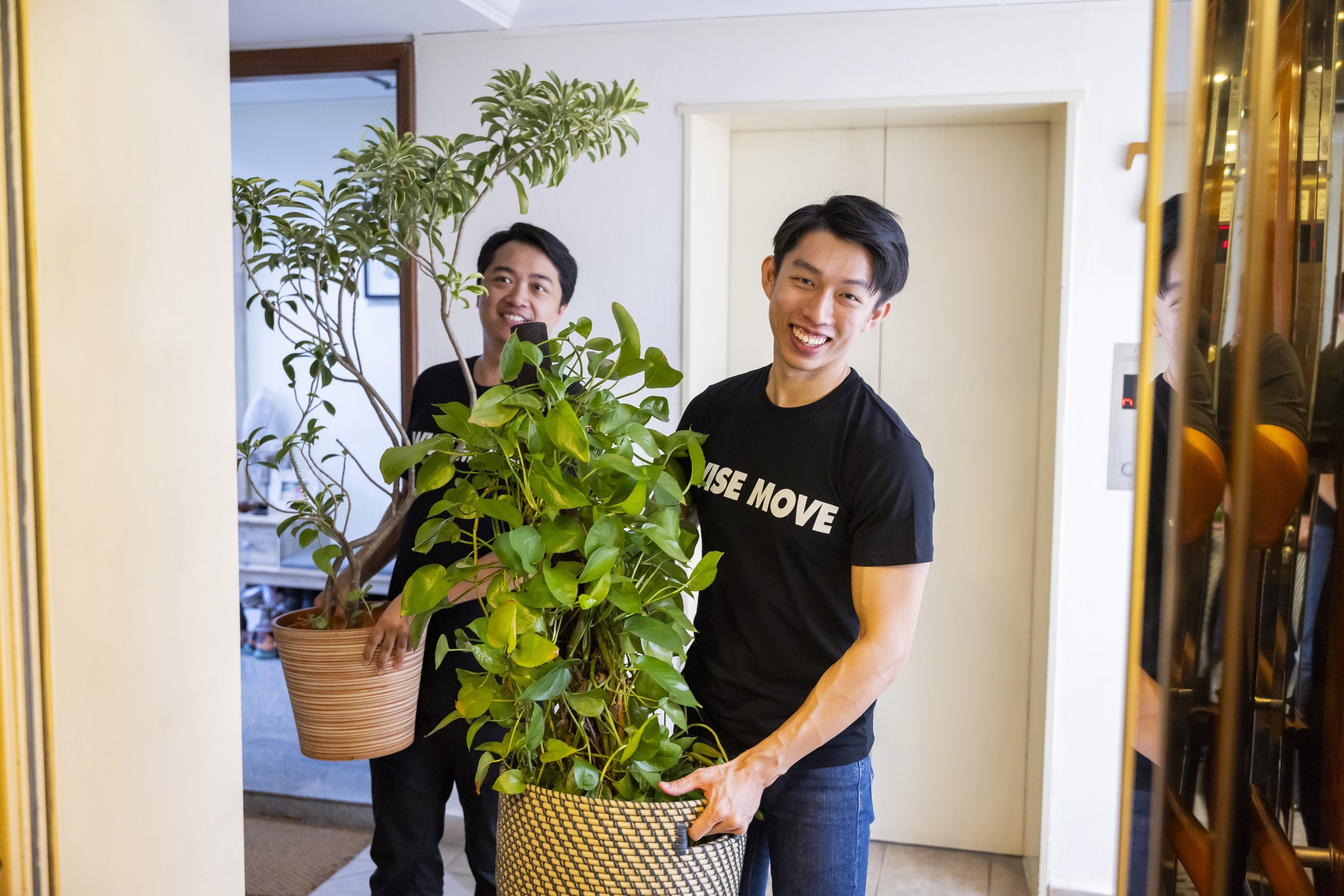 Beginner’s Guide to Keeping Healthy Houseplants in Singapore Beginner’s Guide to Keeping Healthy Houseplants in Singapore