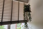 Dining table, Dining chair (2), Small shelves trolley, Small hanging p...