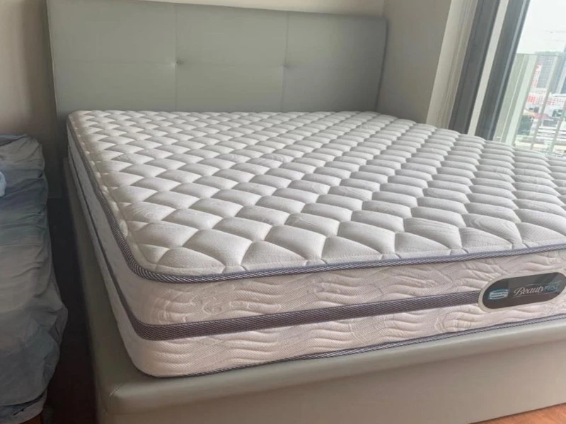 Queen-sized bed frame and mattress