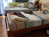 3 bedroom apartment move