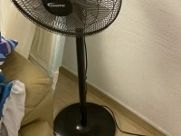 2 bedroom apartment move