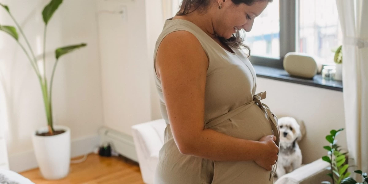 Safety Tips For Moving While Pregnant