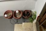 2 bedroom apartment move