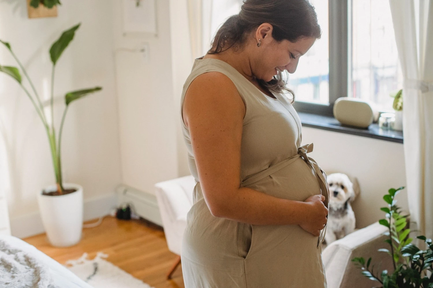 Safety Tips For Moving While Pregnant