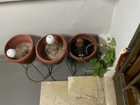 2 bedroom apartment move