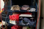 Domestic waste collection