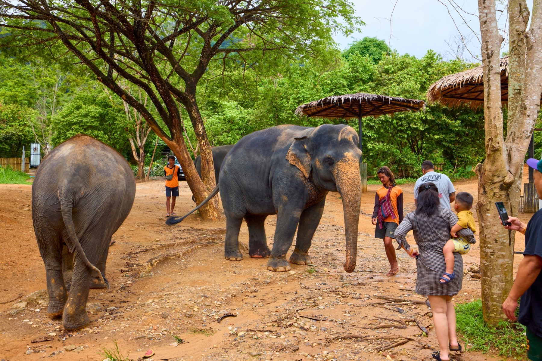 Visiting the Phuket Elephant Sanctuary with the family