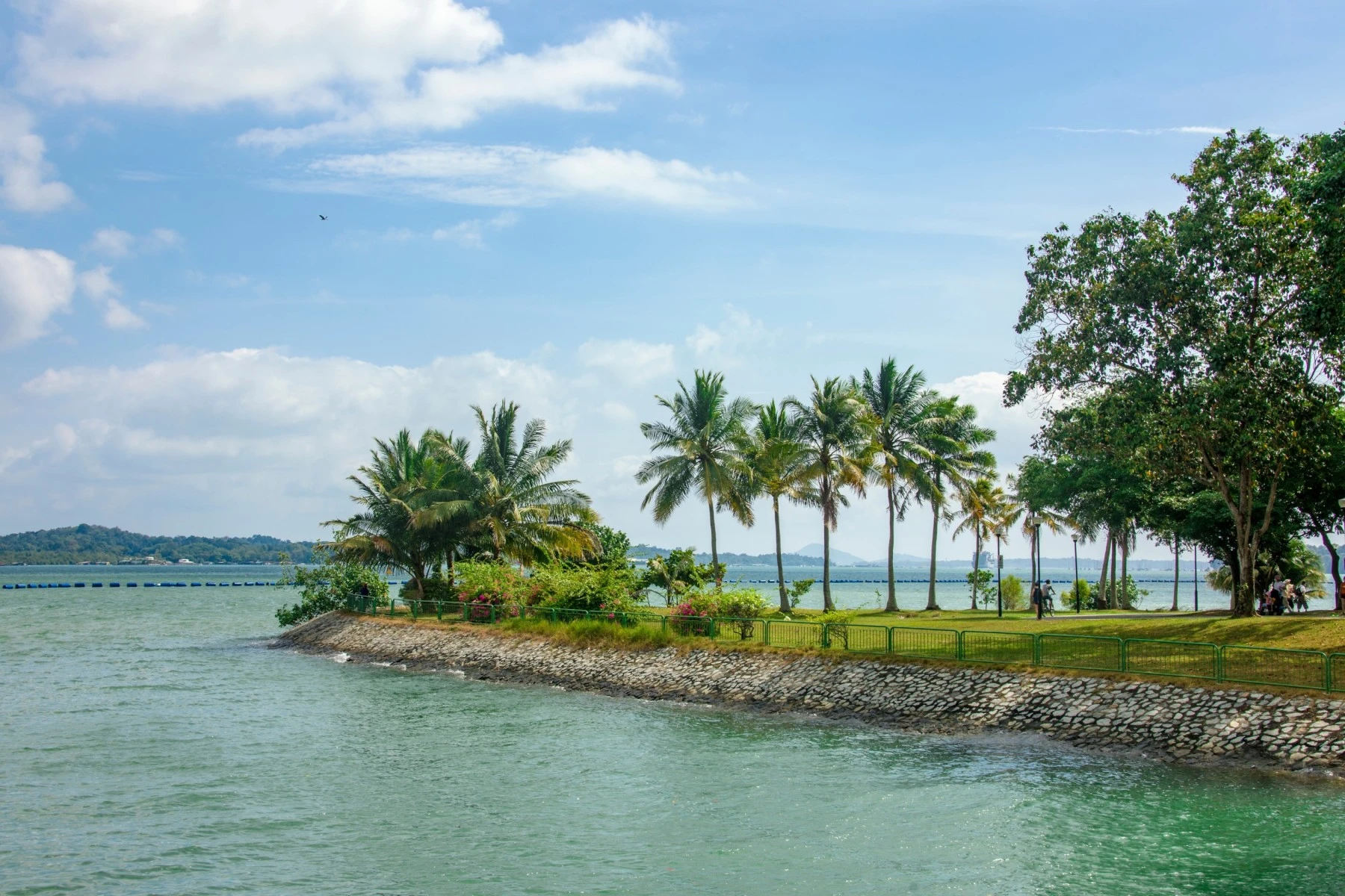 Pasir Ris Park Beach Singapore