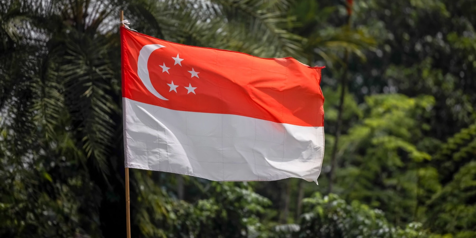 The Ultimate Guide To Singapore s National Symbols