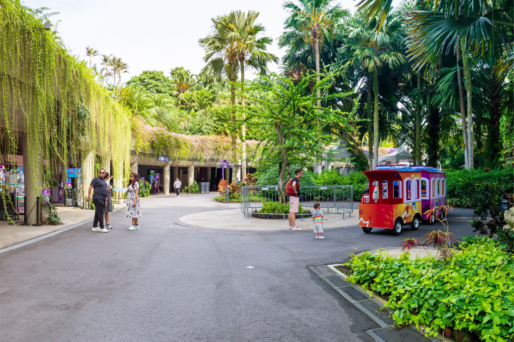 Adjusting to move in Singapore with kids