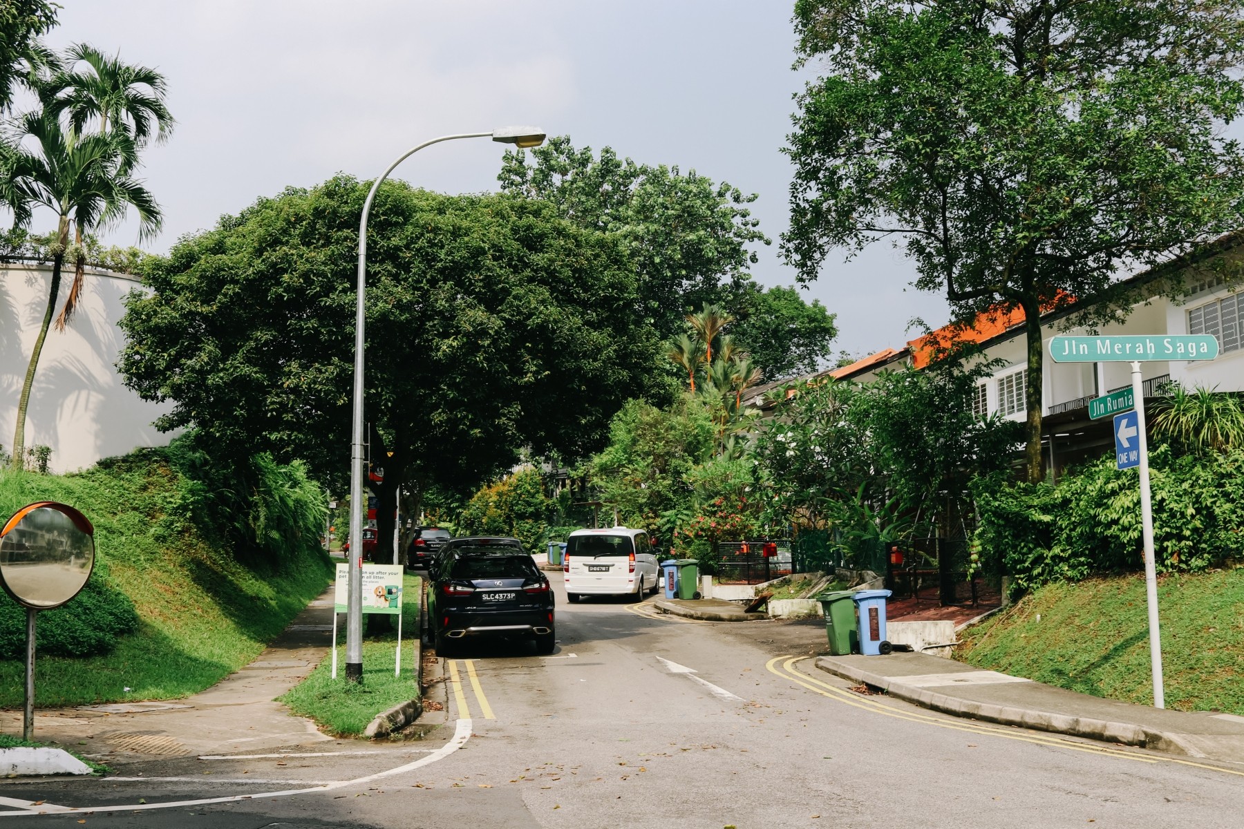 jalan merah saga holland village