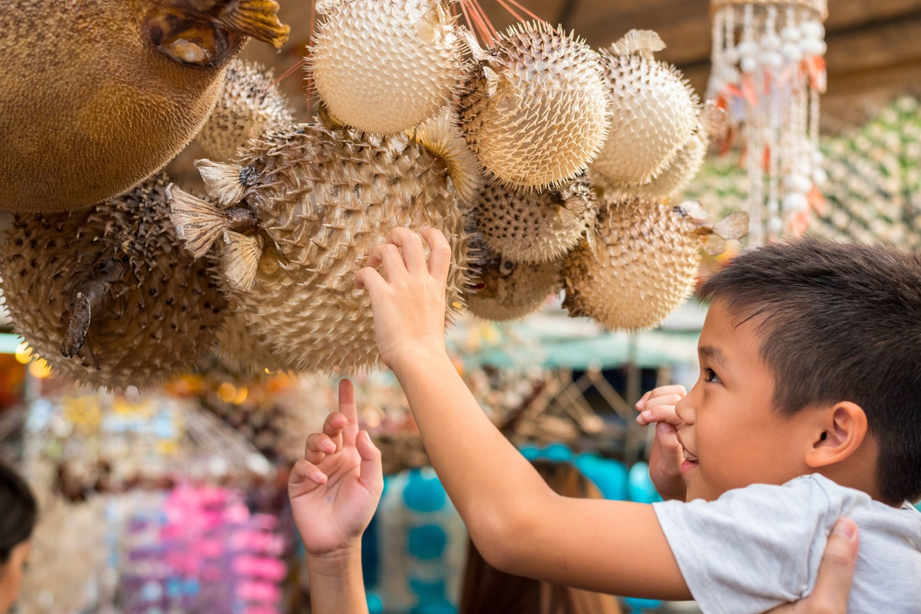 Kid enjoying wonders of Chatuchak Weekend Market in Bangkok